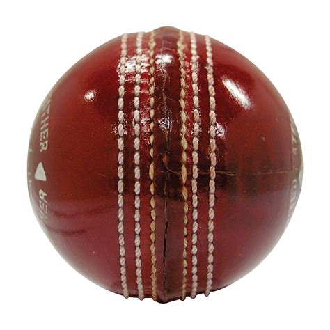 Cricket Ball Png Transparent Cricket Ball Png Images - vrogue.co