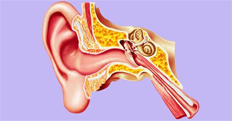 Eustachian Tube Dysfunction And Its Association With Tinnitus