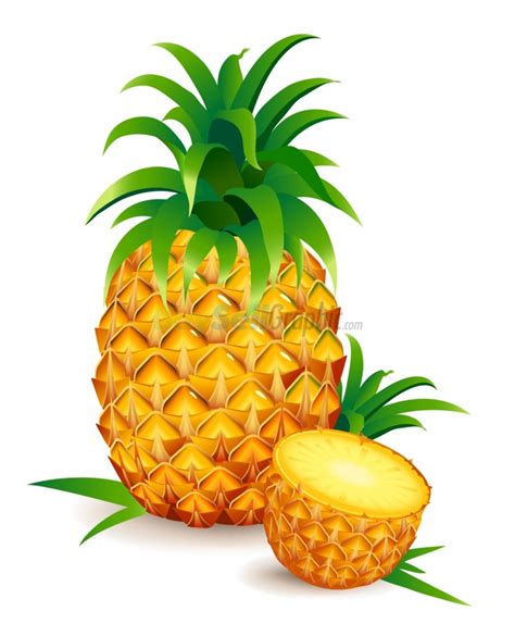 Pineapple clip art fourcoloringpages – Clipartix