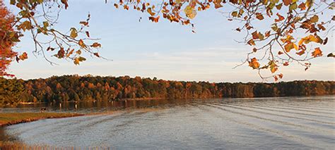 Fall foliage at Virginia State Parks: Peak periods by region