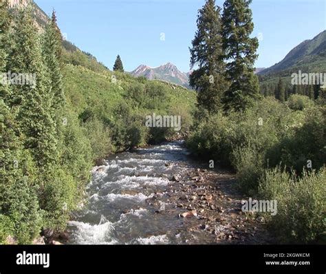 Colorado mountain wildlife Stock Videos & Footage - HD and 4K Video ...