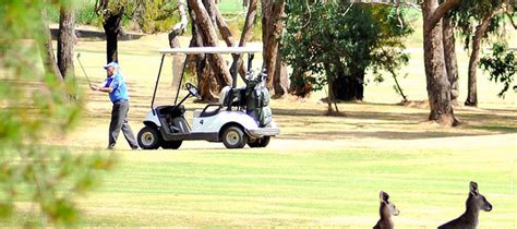 Two of Melbourne's Gems! Play Churchill - Waverley Golf Course with Drinks! just $39.00, save ...