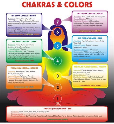 Chakra Associations In Depth | Chakras, Chakra and Chakra colors