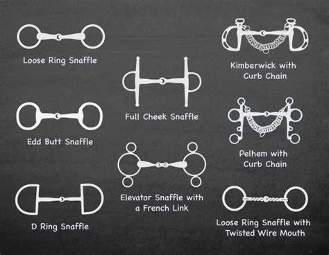 Bridle Parts & Types