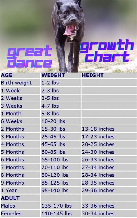 Great Dane Weight Chart