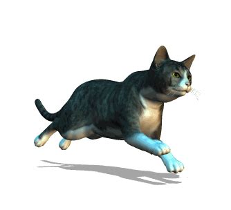 cat running gif animated - Clip Art Library