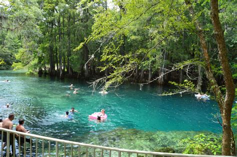 Manatee Springs State Park: Manatee Springs and Manatee Springs Run Boardwalk to Suwannee River ...