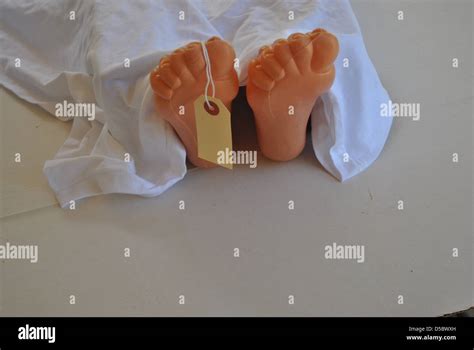 Morgue body hi-res stock photography and images - Alamy