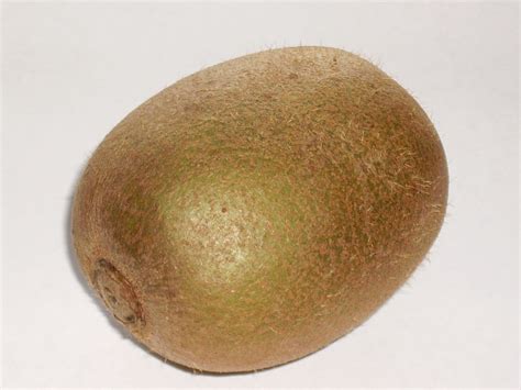 File:Kiwi (one fruit).jpg