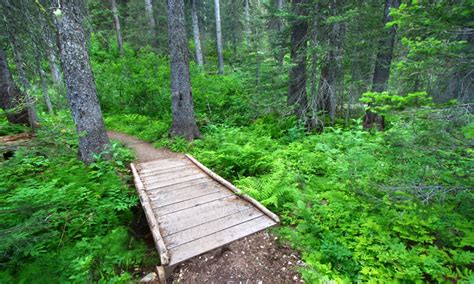 Two Medicine, Glacier National Park Hiking - AllTrips