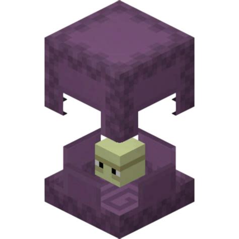 ¡Todo sobre los Shulkers! | Wiki | Minecraft Amino • Crafters Amino