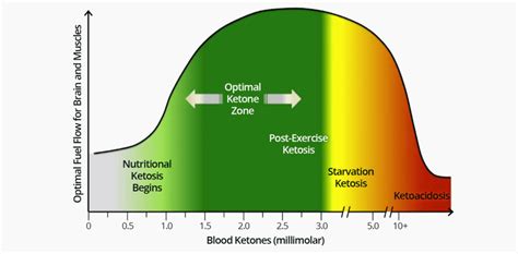 optimal ketone and blood sugar levels for ketosis - Marty Kendall