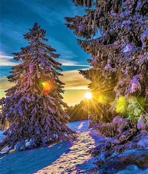 RAINBOW on Twitter | Winter scenery, Beautiful nature, Winter landscape