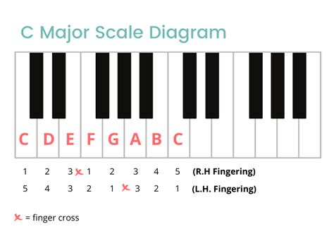 C Major Scale on the Piano: Notes, Fingerings & More