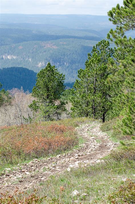 Download free photo of Mountain trail,trees,trail,mountains,green ...