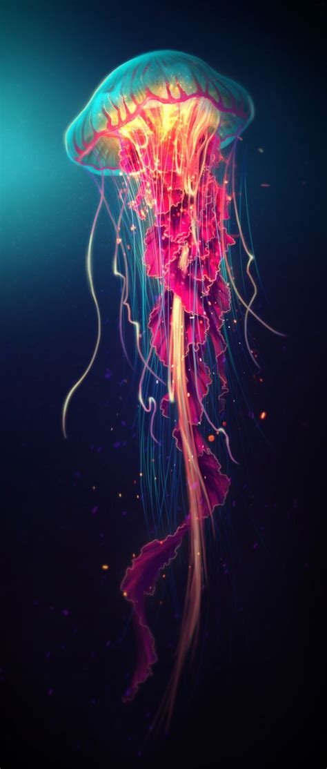 Pin by Melissa on A iPhone wallpaper-colors | Jellyfish art, Ocean creatures, Sea creatures