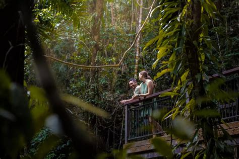 These 10 Daintree Rainforest Facts Will Blow Your Mind | Queensland