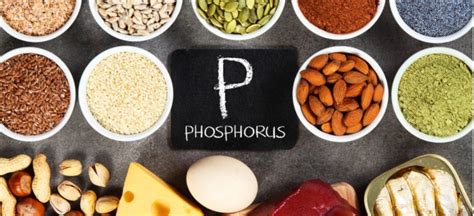 Foods High in Phosphorus Help Your Body Detox & Strengthen