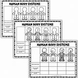Human Body Systems Coloring Pages Sketch Coloring Page sketch template