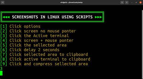 GitHub - efxtv/Screenshot-linux: Take screenshots in Linux using gnome ...