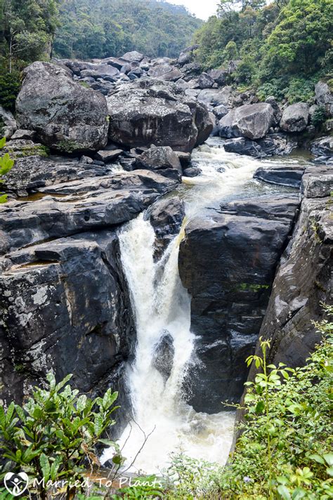 Ranomafana National Park, Madagascar