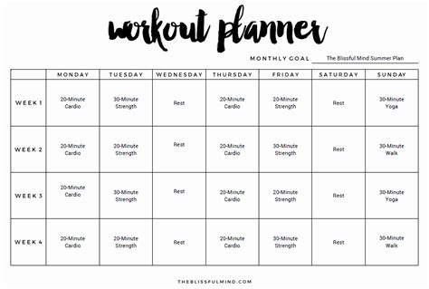 Personal Trainer Workout Plan Template