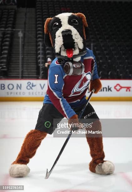 Colorado Avalanche Mascot Photos and Premium High Res Pictures - Getty Images