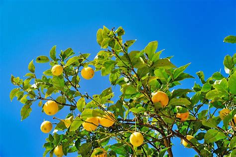 The Best Amalfi Coast Tours: Handpicked From a Local!