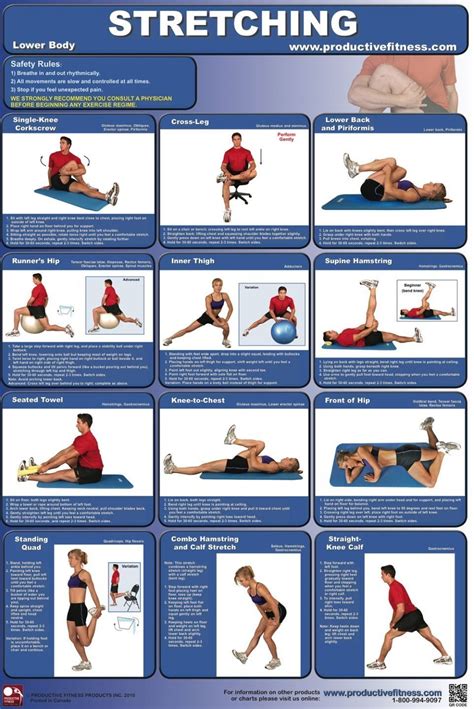 Stretching - Lower Body Fitness Poster | Workout posters, Lower body, Body