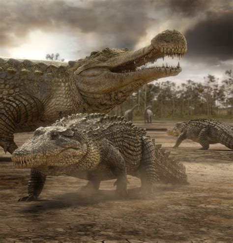 Sarcosuchus imperator | Prehistoric world, Prehistoric wildlife, Extinct animals