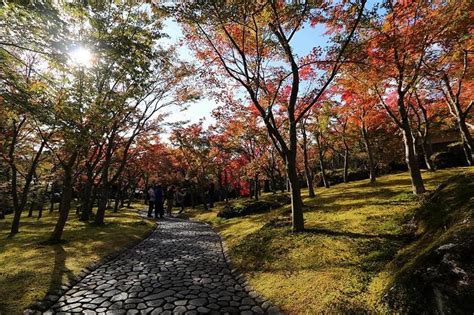 Autumn Color Reports 2019 - Hakone: Peak Colors