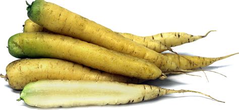 Yellow Carrots Information and Facts