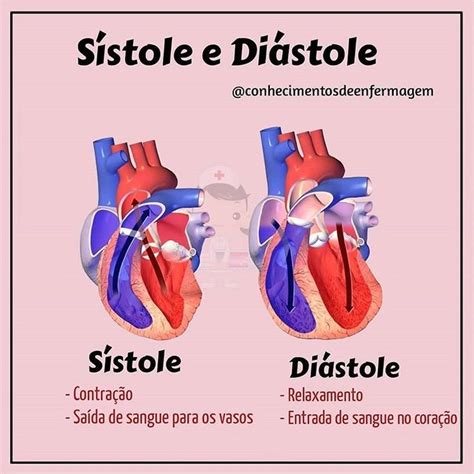 Técnico em Enfermagem no Instagram: “A SÍSTOLE e a DIÁSTOLE são dois estágios do ciclo c ...