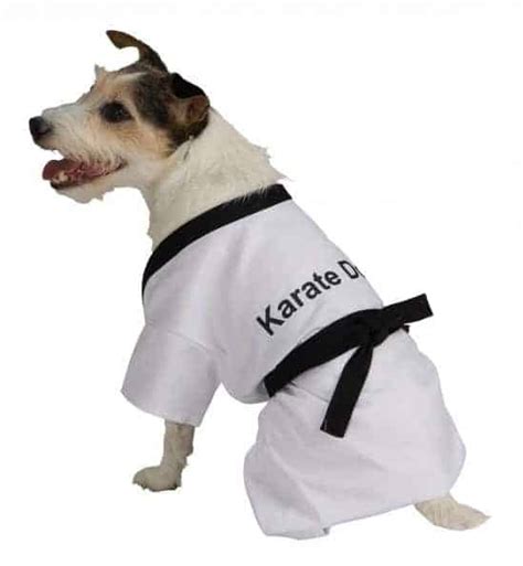 Karate Dog Costume - Pet Costume Center