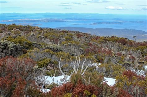 Mount Wellington Walks: A Hobart, Tasmania Hike - Jetsetting Fools