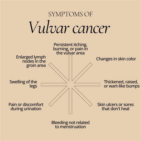 Vulvar Cancer: Causes, Risk Factors, Symptoms, Treatment