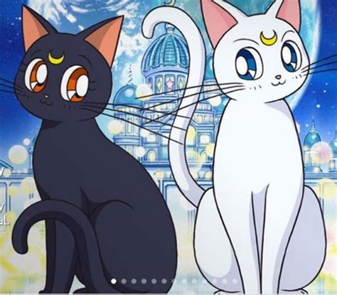 Luna and Artemis. Sailor Moon | Sailor moon manga, Sailor moon art ...