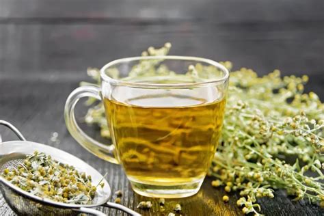 Wormwood Tea Benafits and How to Make it 🍵 - TeaBenefit.com