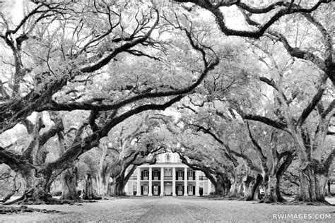 Fine Art Photography Prints | | | | | Louisiana Plantations - Color ...