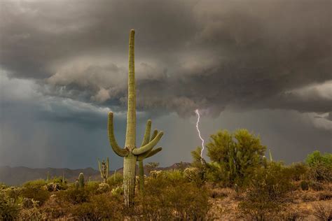 Arizona Monsoon -Storm Chasing Photography Tours