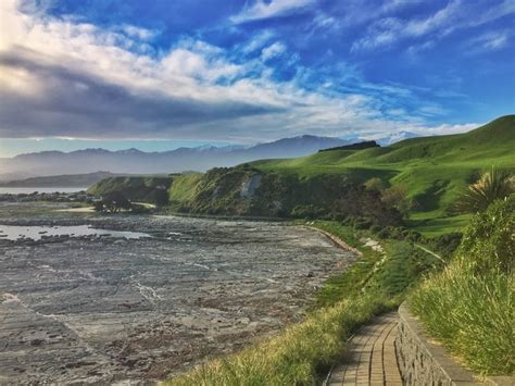 THE SCENIC KAIKOURA PENINSULA WALKWAY (101 GUIDE)