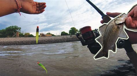 Double Crappie Jig Rig Setup for White Bass | First Trip - OOW Outdoors - YouTube