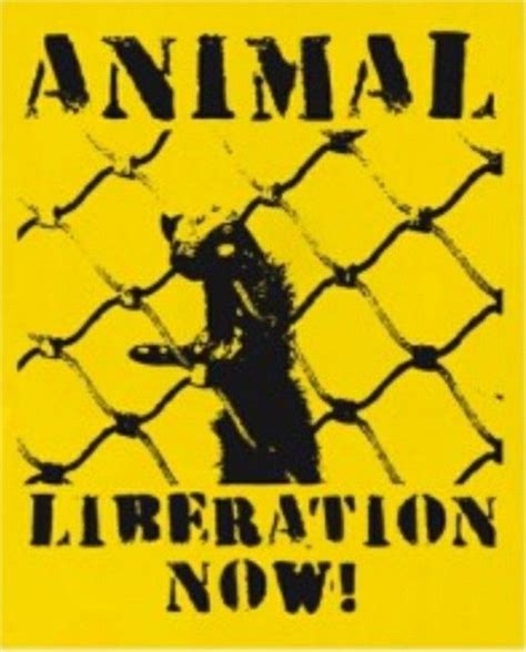 Pin by Hippieflower on ALF- Animal Liberation Front/ Animal Rights. | Animal liberation, Animals ...