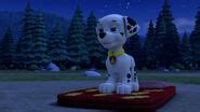 Marshall/Gallery/Pups and the Werepuppy | PAW Patrol Wiki | FANDOM ...