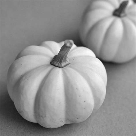 Black White and Gray Pumpkin Decor - Etsy