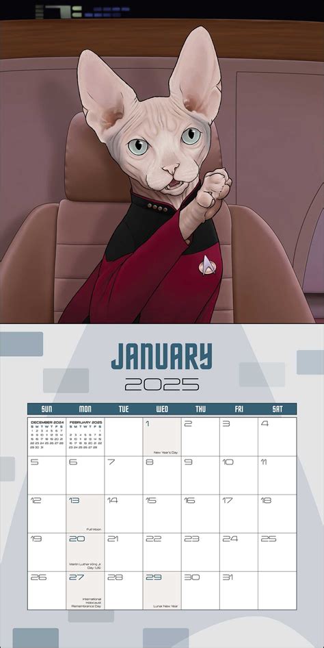 Star Trek: Cats 2025 Wall Calendar - Book Summary & Video | Official Publisher Page | Simon ...