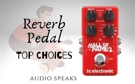 10 Best Reverb Pedal | Top Choices with Buying Guide 2024