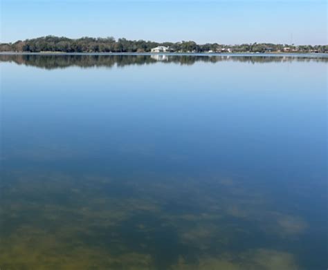 HEALTH OFFICIALS ISSUE BLUE-GREEN ALGAE BLOOM ALERT FOR LAKE MANN ...