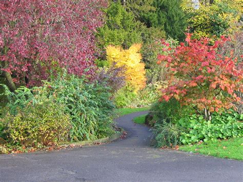 Autumn Colours Free Stock Photo - Public Domain Pictures