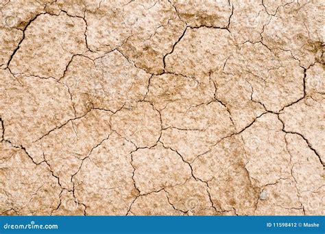 Dry soil texture stock photo. Image of summer, global - 11598412